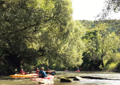 4735ac2a-67e6-41b1-a719-f097dede22ef