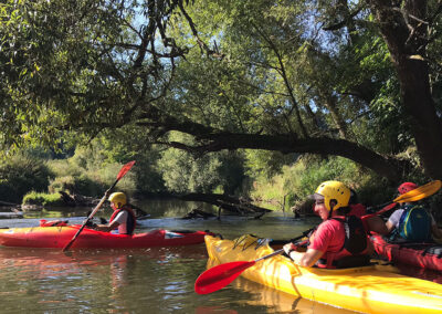 8883afbd-8bab-4d44-b00d-37b44cdabfa3